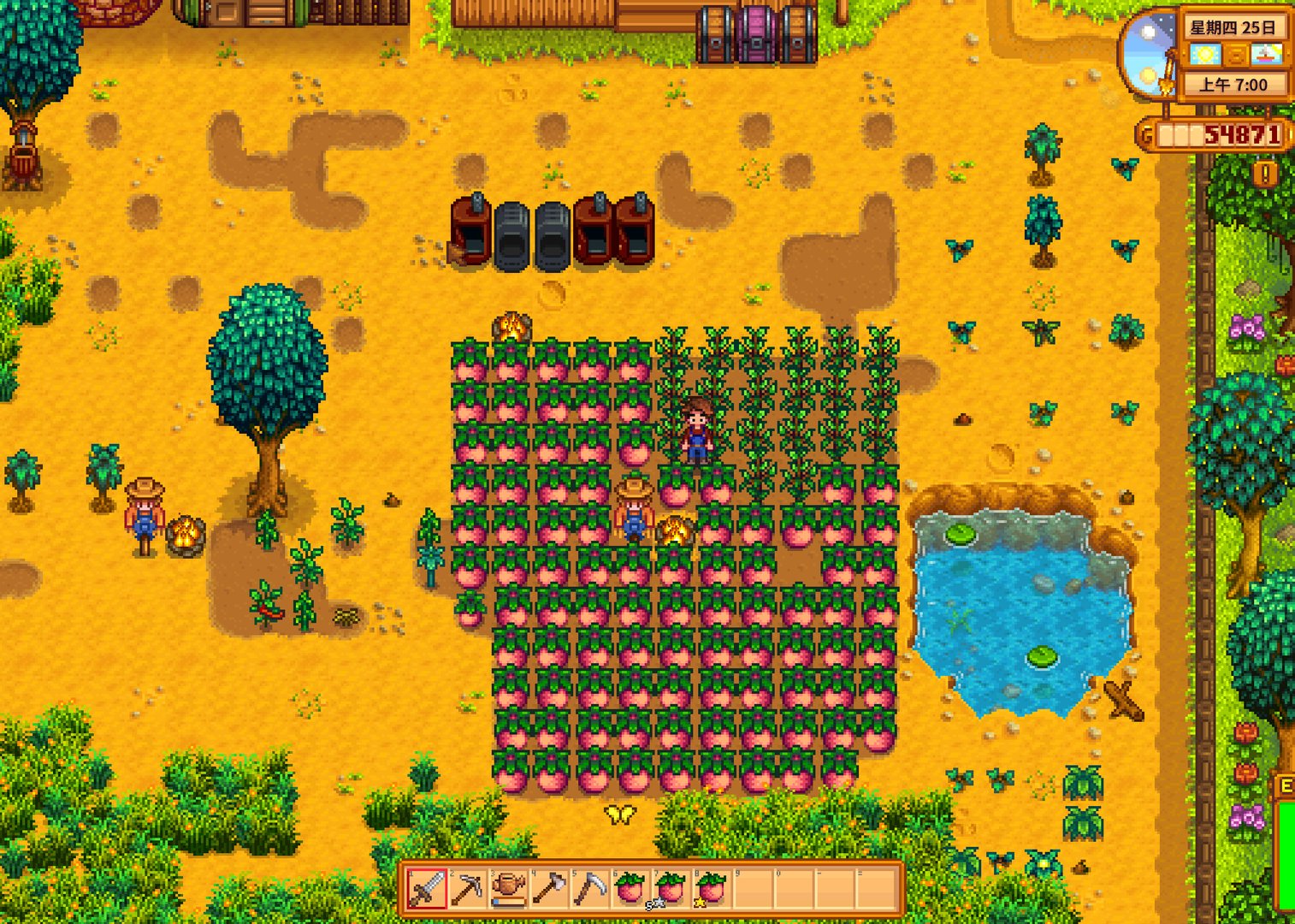 空洞骑士 完整版 截图13