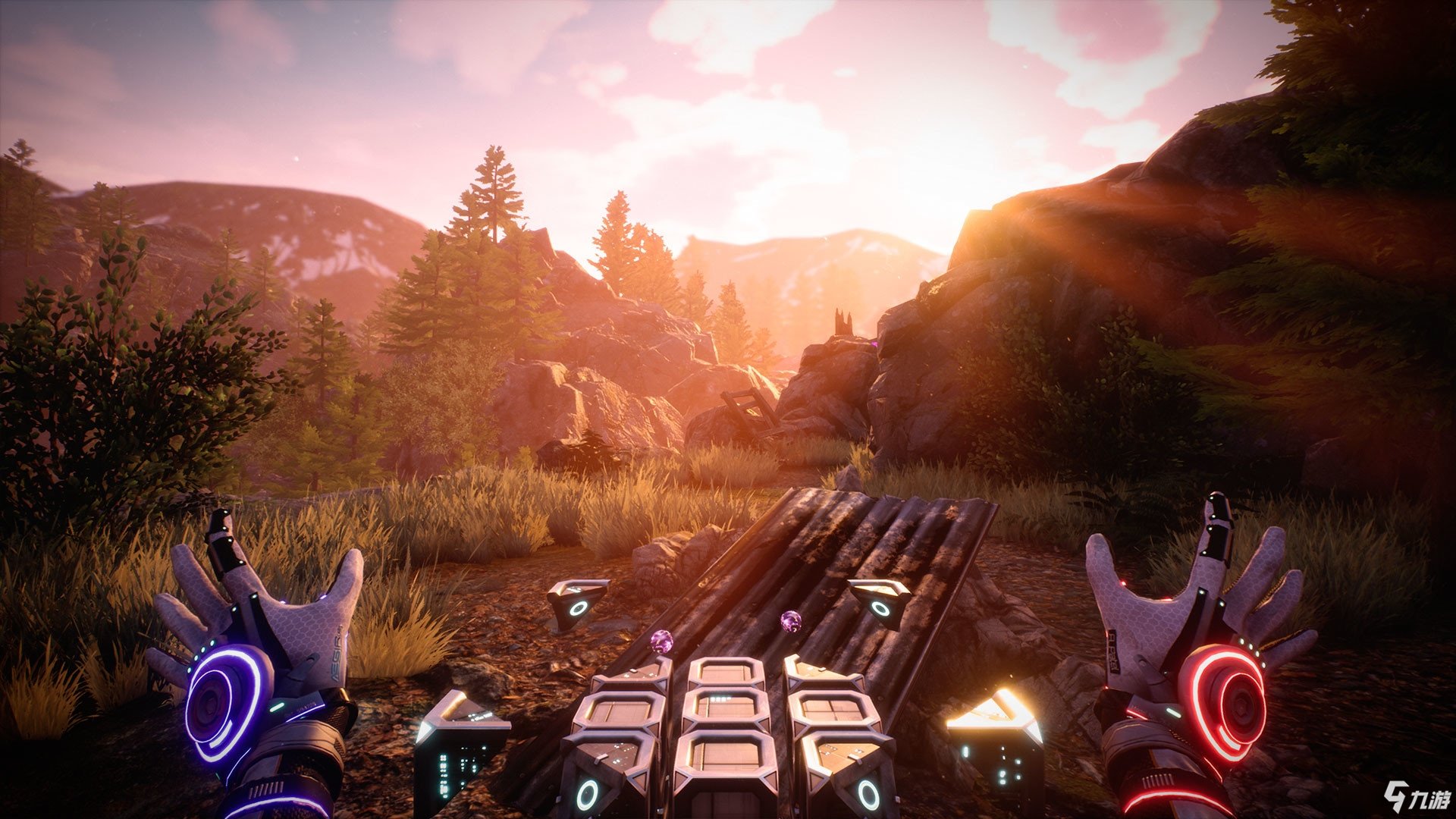 F1 2024 完整版 截图13