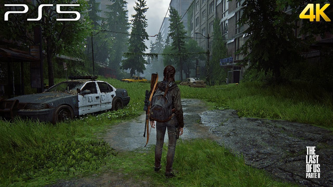 F1 2024 完整版 截图15